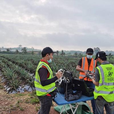 Mapping Pineapple Plantation Mpib 3